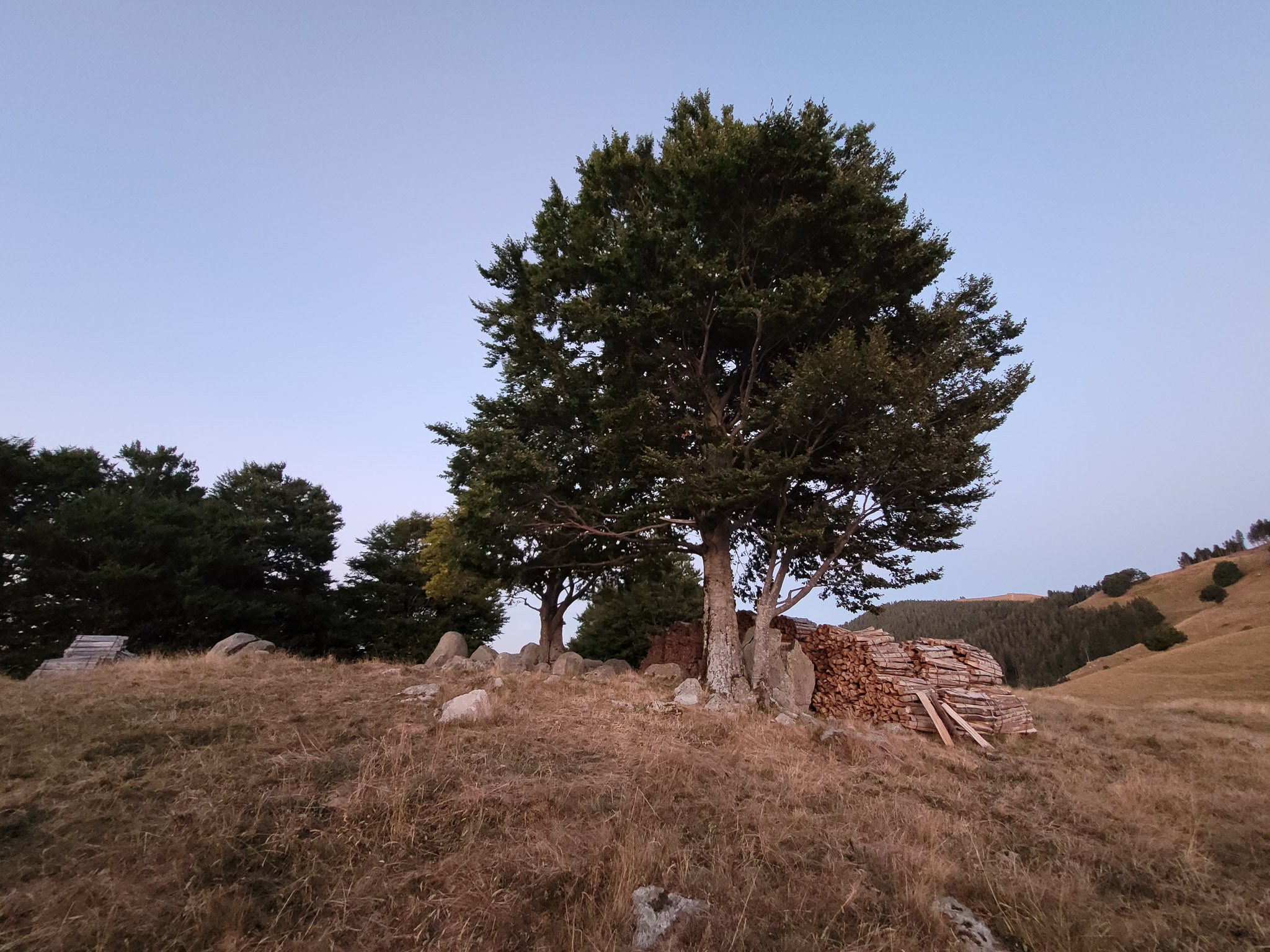 20220813210442 20220813 210441